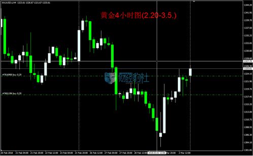 人工智能與太極智能交易軟件運(yùn)行分析 第11期應(yīng)用軟件開(kāi)發(fā)探索